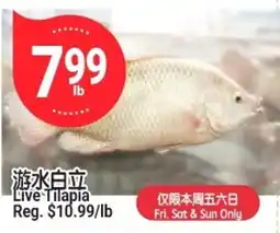 SunFood Supermarket Live Tilapia offer