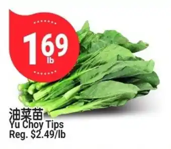 Yu Choy Tips
