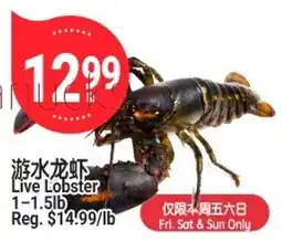 SunFood Supermarket Live Lobster offer