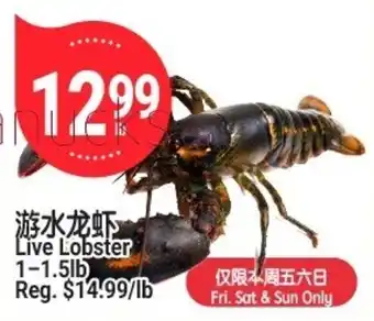 SunFood Supermarket Live Lobster offer