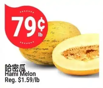 Hami Melon