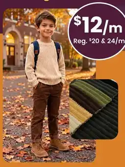 Fabricland Stratton Corduroy Novelties offer