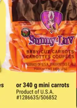 Giant Tiger Mini carrots offer