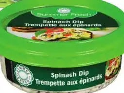 Giant Tiger Summer Fresh Dip offer