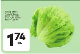 Giant Tiger Iceberg lettuce offer
