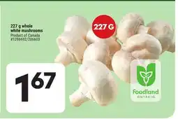 Giant Tiger 227 g whole white mushrooms offer