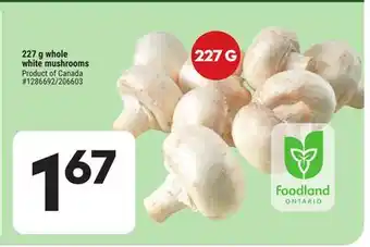 Giant Tiger 227 g whole white mushrooms offer