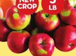 Giant Tiger 3 lb Paula Red apples offer