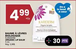 Rachelle-Bery Grocery KARIDERM ORGANIC LIP BALM offer