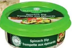 Giant Tiger Summer Fresh dip offer