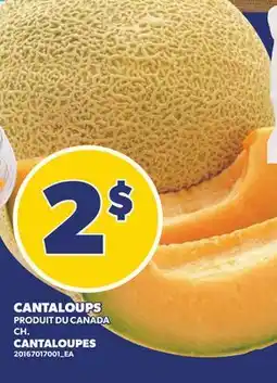 Provigo CANTALOUPS, CH. | CANTALOUPES offer