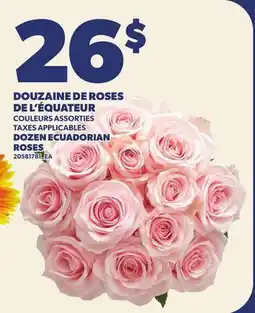Provigo DOUZAINE DE ROSES DE L'ÉQUATEUR | DOZEN ECUADORIAN ROSES offer