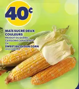 Provigo MAÏS SUCRÉ DEUX COULEURS | SWEET BICOLOUR CORN offer