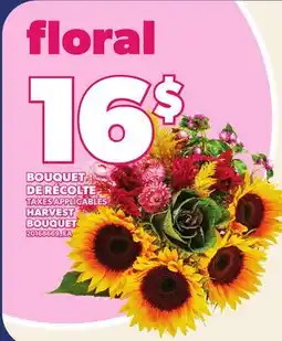 Provigo BOUQUET DE RÉCOLTE | HARVEST BOUQUET offer