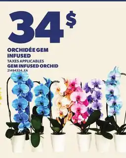 Provigo ORCHIDÉE GEM INFUSED | GEM INFUSED ORCHID offer