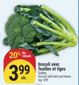 Marché Adonis BROCOLI AVEC FEUILLES ET TIGES | BROCCOLI WITH STEM AND LEAVES offer