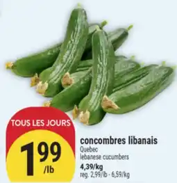 Marché Adonis concombres libanais | lebanese cucumbers offer