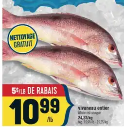 Marché Adonis vivaneau entier | whole red snapper offer