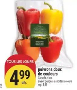 Marché Adonis POIVRONS DOUX DE COULEURS | SWEET PEPPERS ASSORTED COLOURS offer