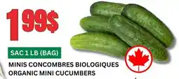 Marches Tau MINIS CONCOMBRES BIOLOGIQUES offer