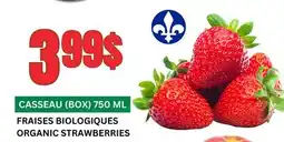 Marches Tau FRAISES BIOLOGIQUES offer