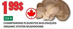 Marches Tau CHAMPIGNONS PLEUROTES BIOLOGIQUES offer
