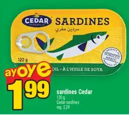 Super C sardines Cedar | Cedar sardines offer
