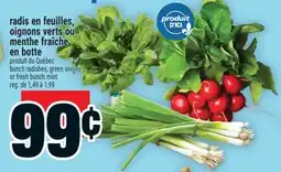 Super C radis en feuilles, oignons verts ou menthe fraîche en botte | bunch radishes, green onions offer