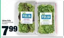 Super C laitues Folia | Folia lettuce offer
