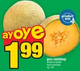 Super C gros cantaloup | large cantaloupe offer