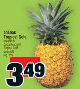 Super C ananas Tropical Gold | Tropical Gold pineapple offer