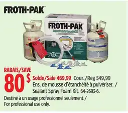 Canadian Tire Sealant Spray Foam Kit offer