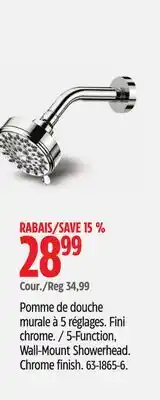 Canadian Tire 5-Function, Wall-Mount Showerhead offer