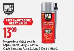 Canadian Tire Great Stuff Gaps & Cracks Insulating Foam Sealant, 340 g offer