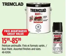 Canadian Tire Tremclad Rust Paint offer