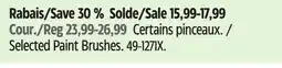 Canadian Tire Selected Paint Brushes offer