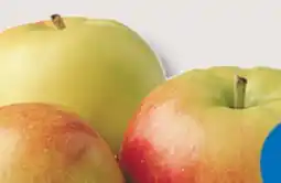 IGA SUNRISE APPLES offer