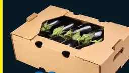 IGA EGGPLANT offer