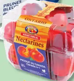 IGA BLUE PLUMS OR NECTARINES offer