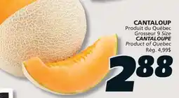 IGA CANTALOUPE offer