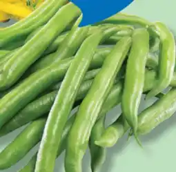 IGA GREEN BEANS offer