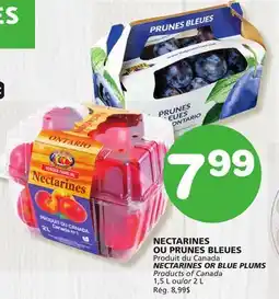 Marches Tradition NECTARINES OR BLUE PLUMS offer