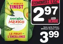 Marches Tradition HASS AVOCADOS offer