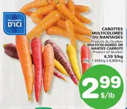 Marches Tradition MULTICOLOURED OR NANTES CARROTS offer