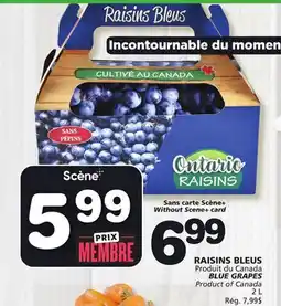 Marches Tradition BLUE GRAPES offer