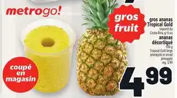 Metro GROS ANANAS TROPICAL GOLD | TROPICAL GOLD LARGE PINEAPPLE OR CORED PINEAPPLE offer