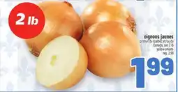 Metro OIGNONS JAUNES | YELLOW ONIONS offer