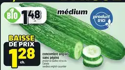 Metro CONCOMBRE ANGLAIS SANS PÉPINS | SEEDLESS ENGLISH CUCUMBER offer