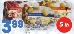 Metro POMMES DE TERRE BLANCHES/ROUGES, RUSSET OU JAUNES | POTATOES offer