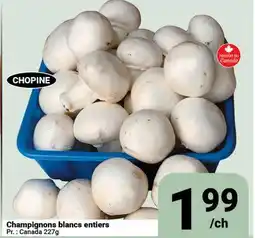 Pasquier Champignons blancs entiers offer